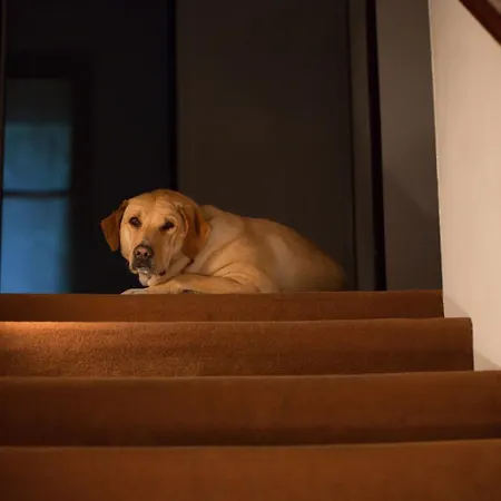 فندق Terzo Crotto تْشيرنوبيو