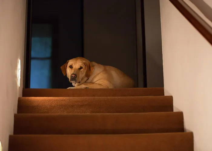 Hotel Terzo Crotto Cernobbio